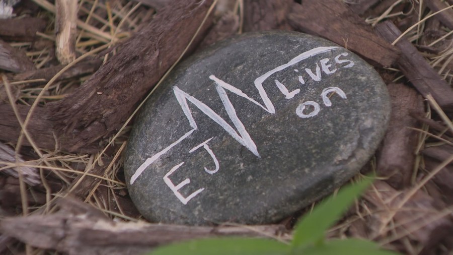 Mother remembers son whose donated heart beats in Arkansas