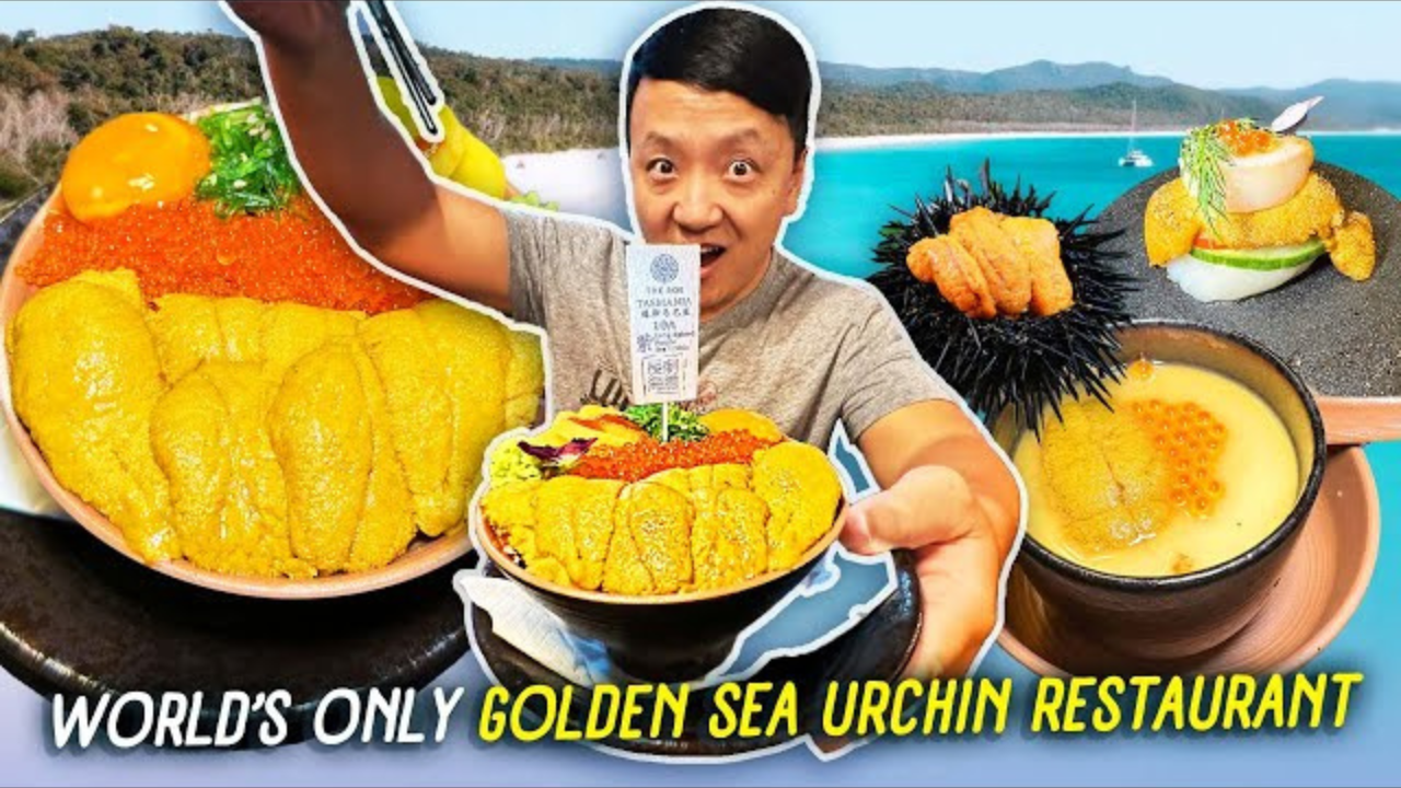 This restaurant serves sea urchin in every dish | Uni tasting menu in ...