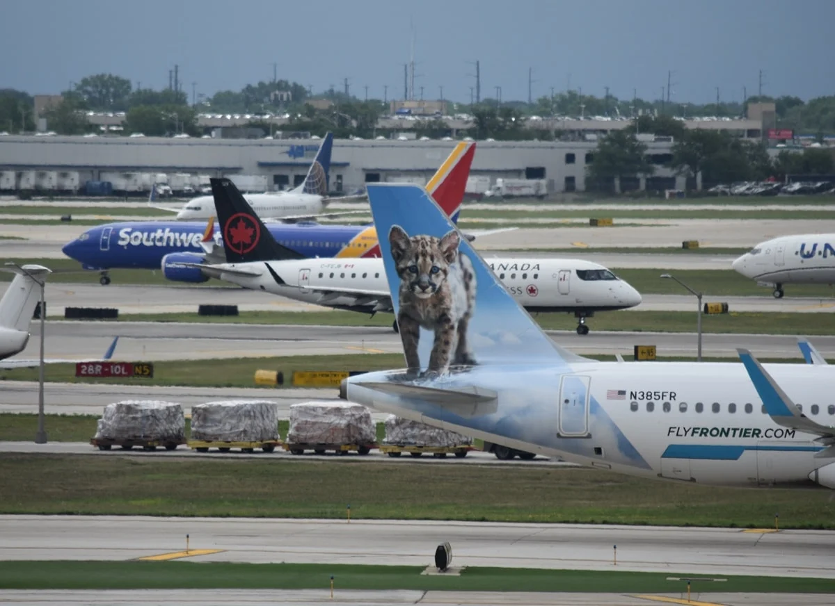 These US airports have the best and worst on-time records in 2026