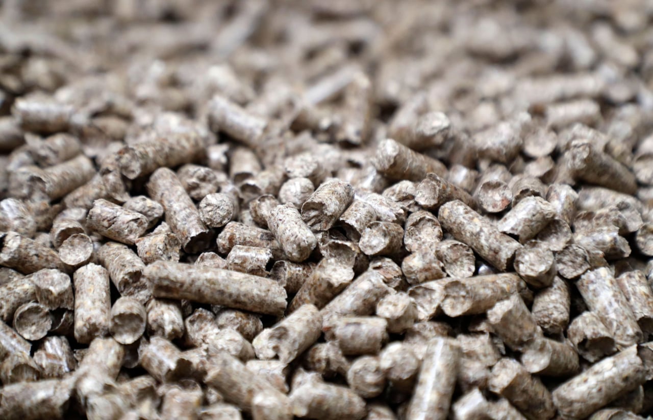 The $2 billion brawl over a ruinous wood-pellet trade