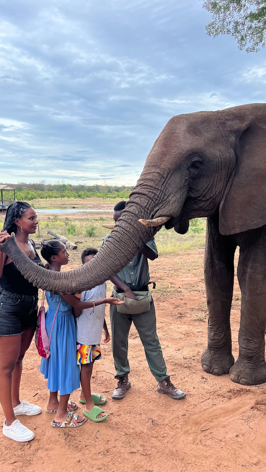 the-gentle-nature-of-elephants-that-inspires-people