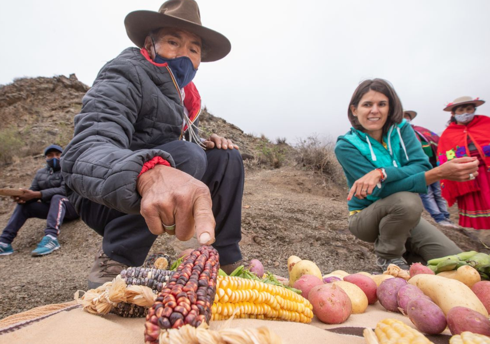 En Caspalá, los lugareños mantienen sus tradiciones y las comparten con los visitantes. Cada 30 de agosto se celebra Santa Rosa de Lima. Foto: X @GobiernoJujuy