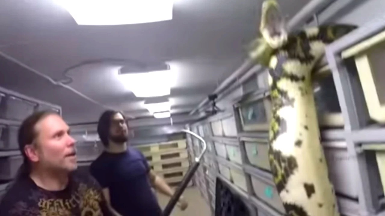 They forgot to shut the cage... then a 19-foot python escaped