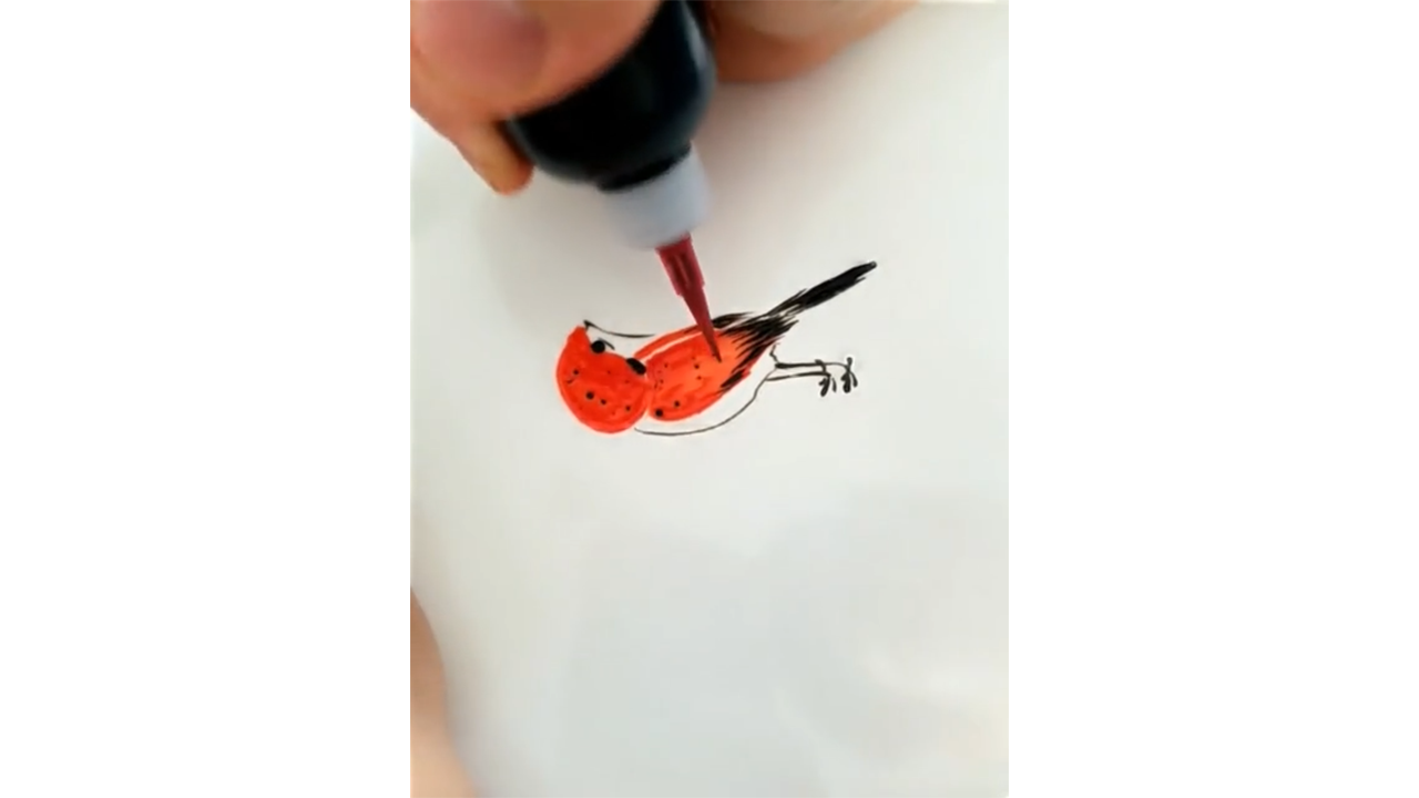 Drawing bright red bird with ink creating charming wildlife illustration