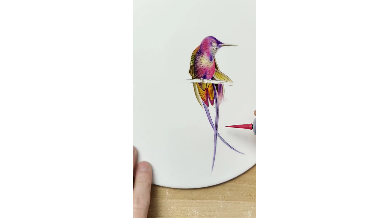 Drawing colorful hummingbird with ink creating elegant wildlife ...