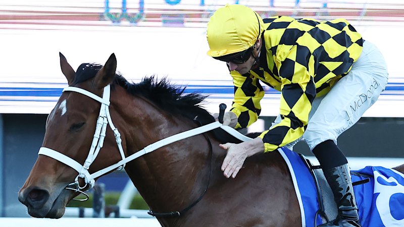 Autumn Glow crowned Australia's best racehorse on huge night for Arrowfield