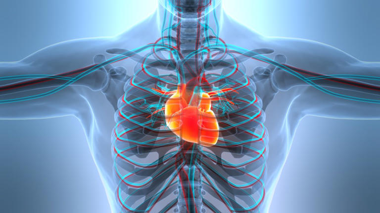 Millions use a sugar substitute—new research raises a heart health risk