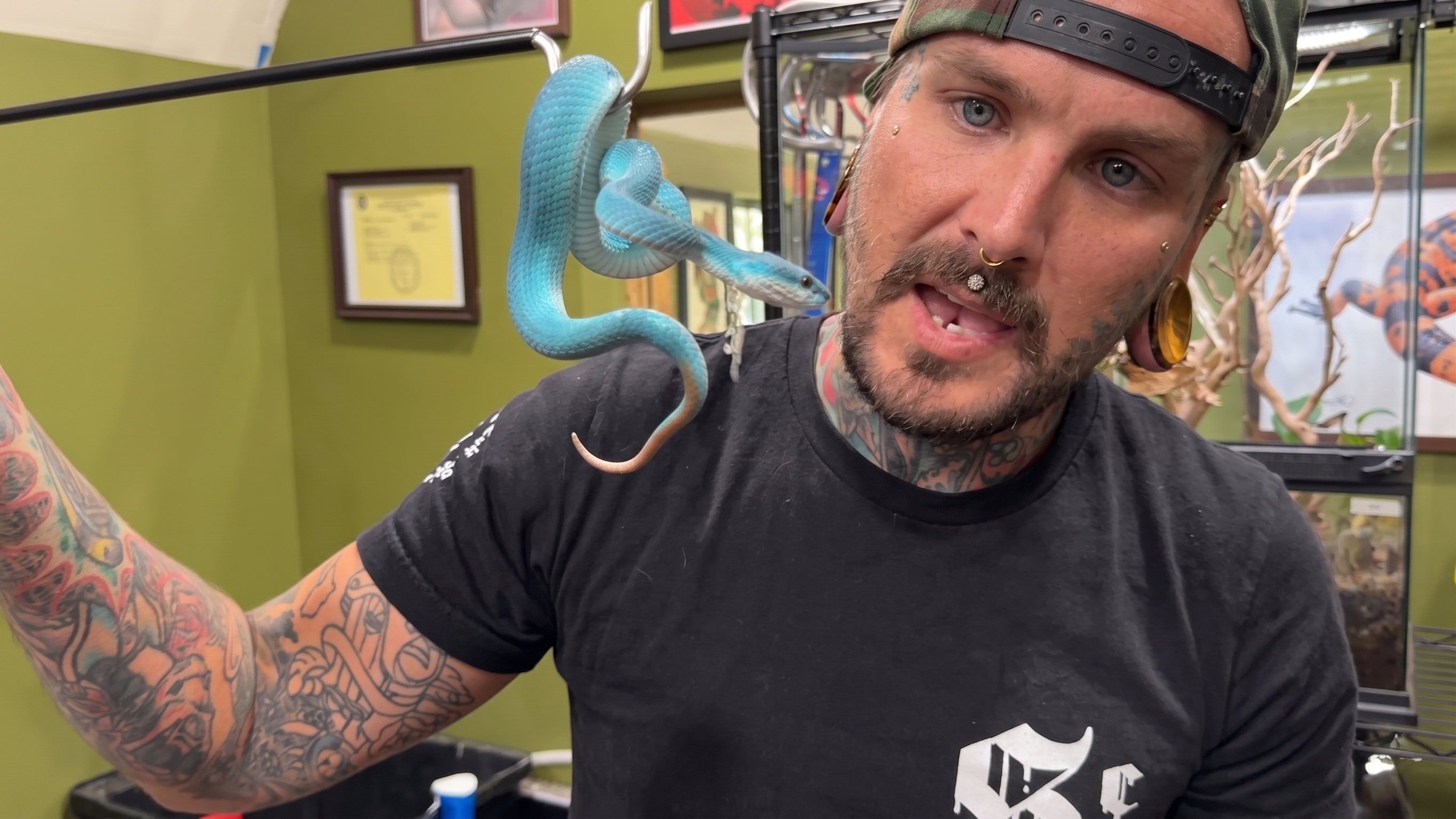 Tyler got too close to a deadly snake and it reacted - caught on camera
