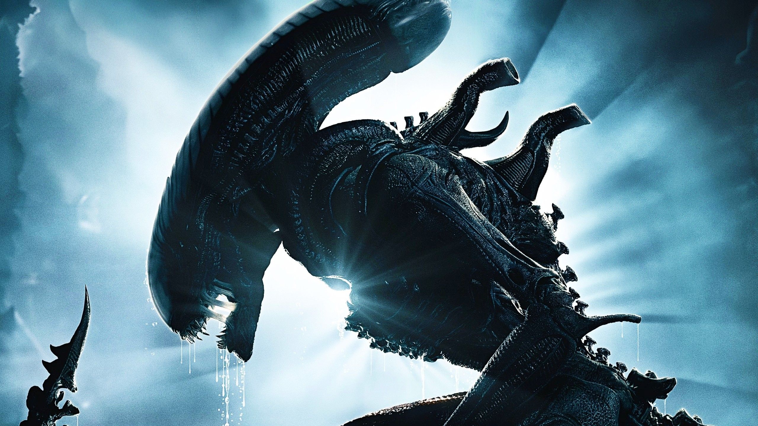Ridley Scott's return, Romulus 2, & more Ripley: Alien's movie future ...