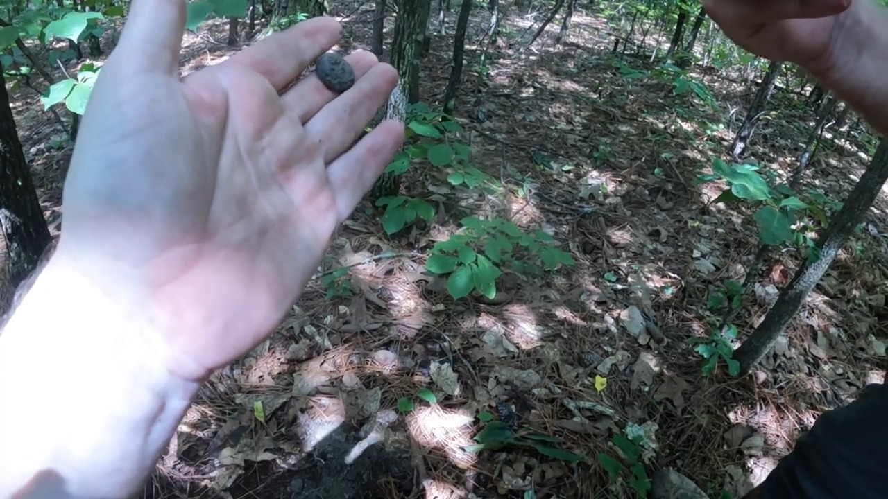 A lost poker game sparked camp violence, 