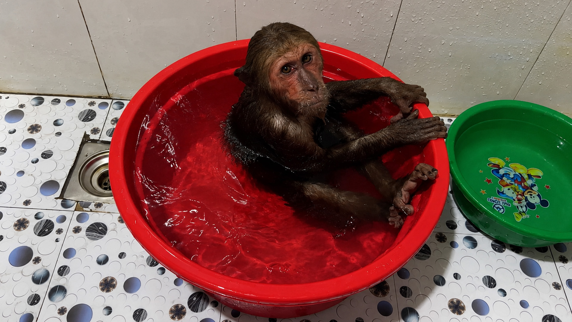 CUTIS and BUEM share a playful bath time with mom