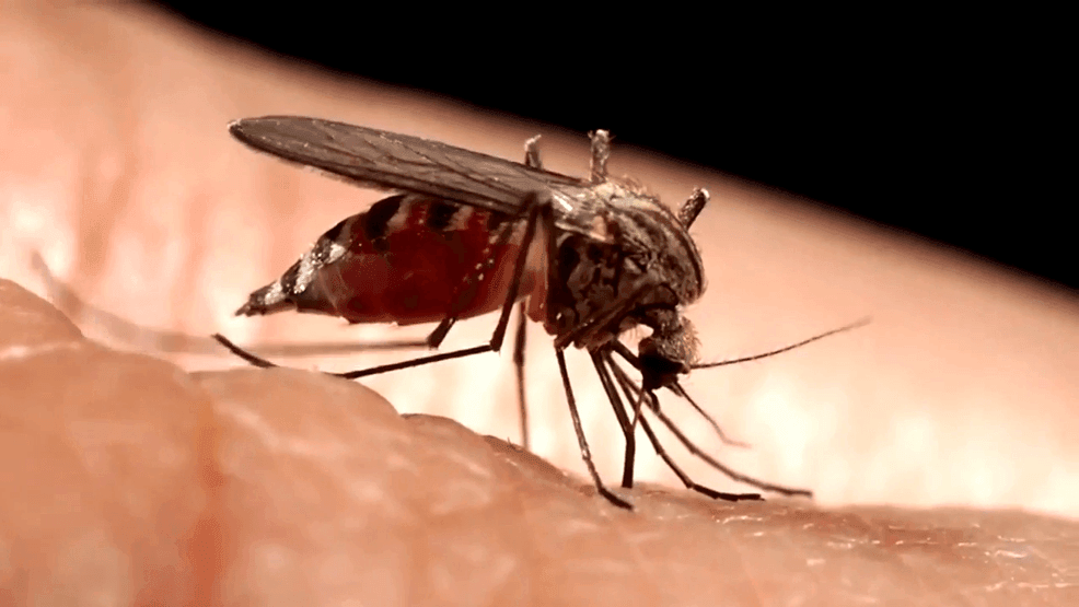 First human case of West Nile virus confirmed in Tri-State