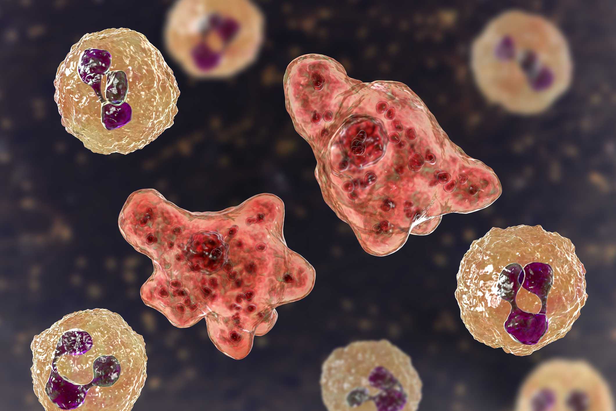 Warm freshwater linked to rare, often fatal infection in North Carolina teen