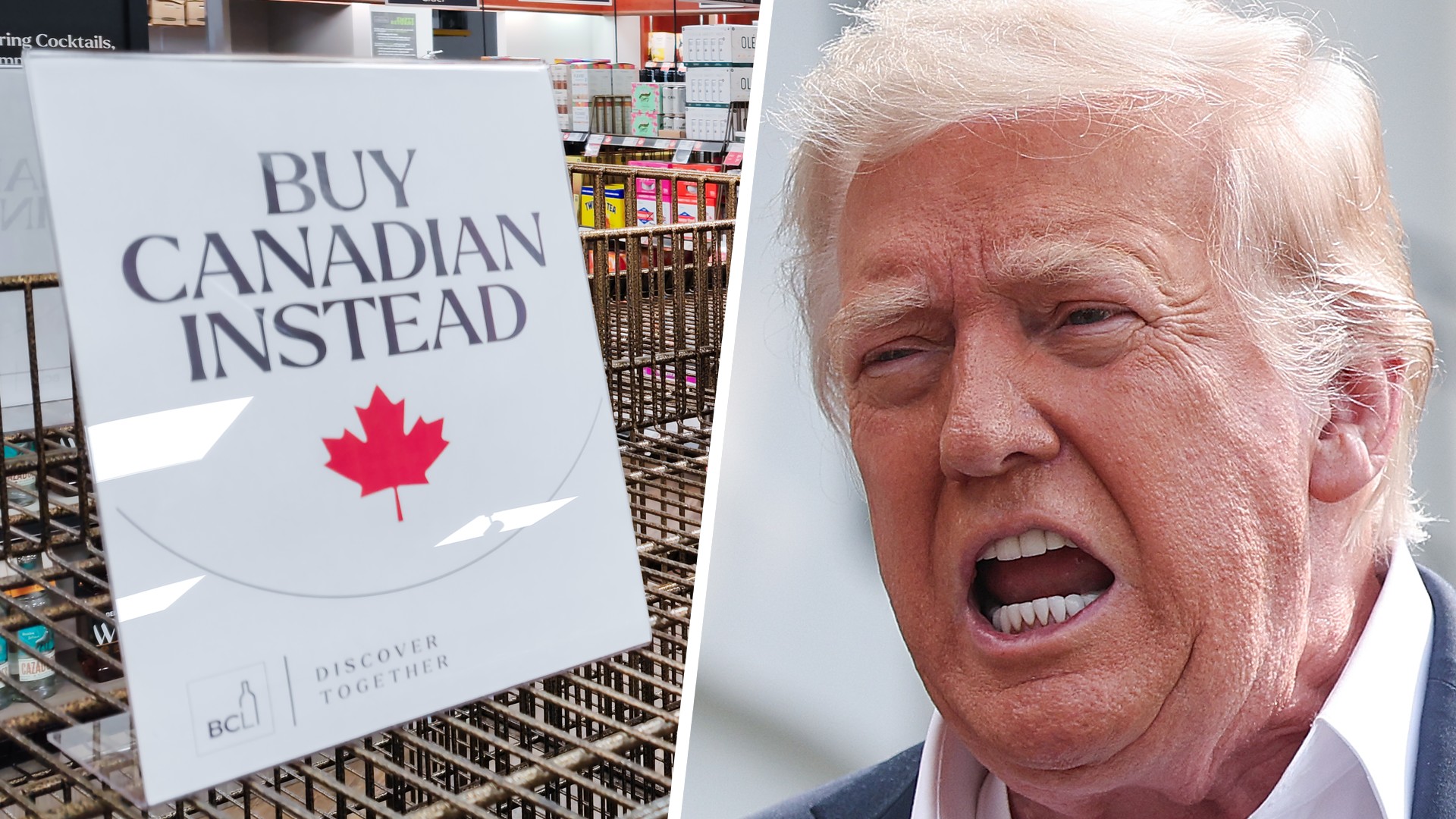 Fmr. Dep. Canadian prime minister on Trump's trade war: 'So absurd' it ...