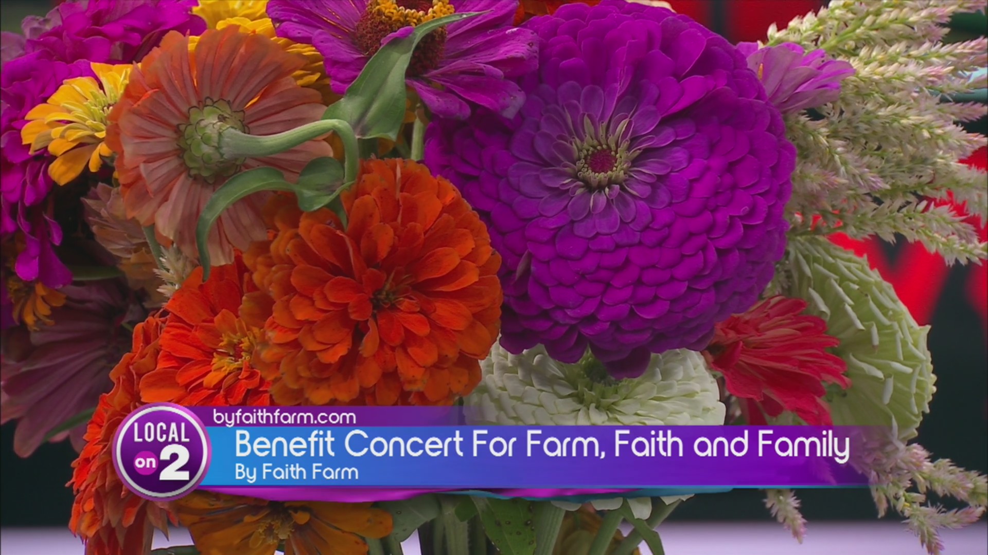 By Faith Farm: Benefit concert featuring Drew Baldridge