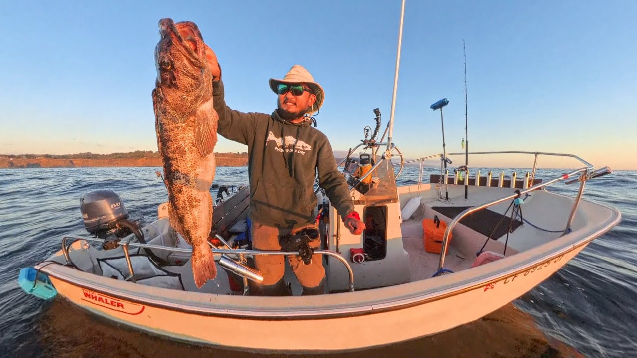 Watch me fish for my pup's meal!