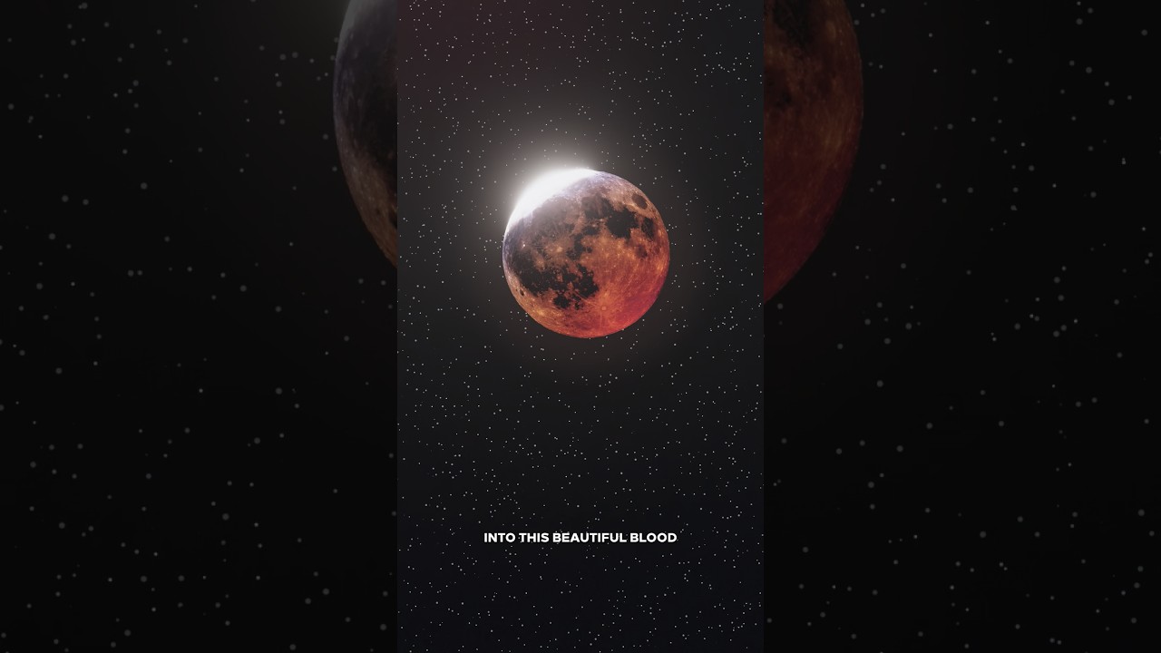 Don’t miss this week’s blood moon
