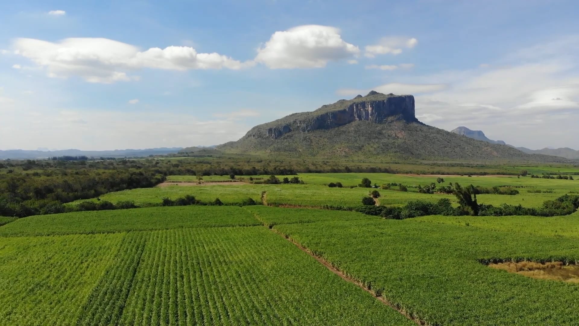 Drone tour of Cerrado: Brazil's savanna - Worldwide