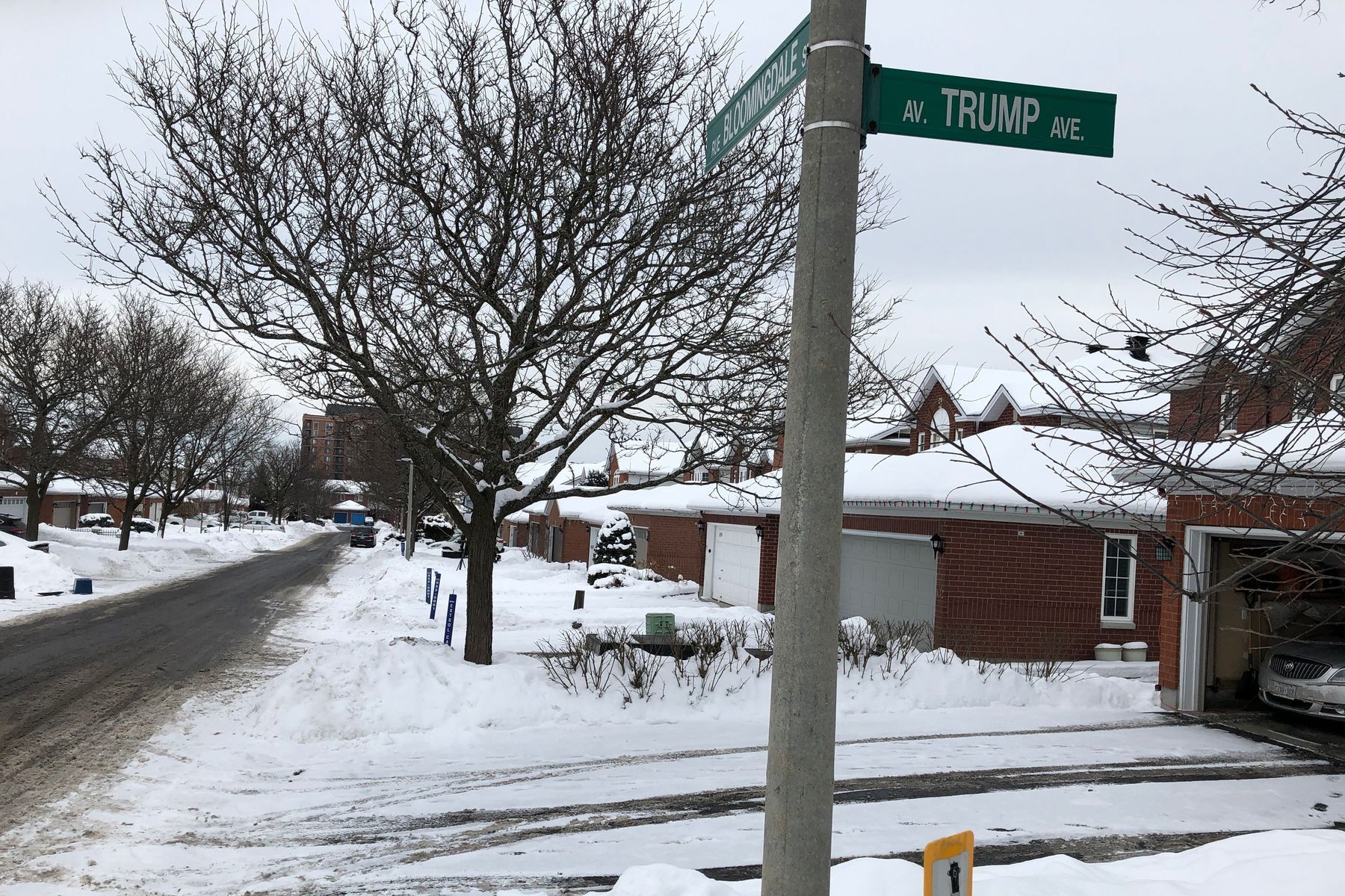 Canada: Trump Avenue sign disappears in Ottawa