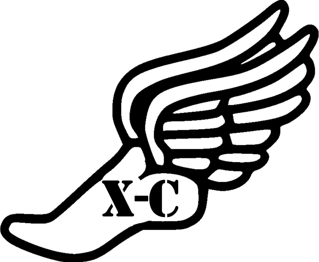Plainview runners advance to regional cross country meet