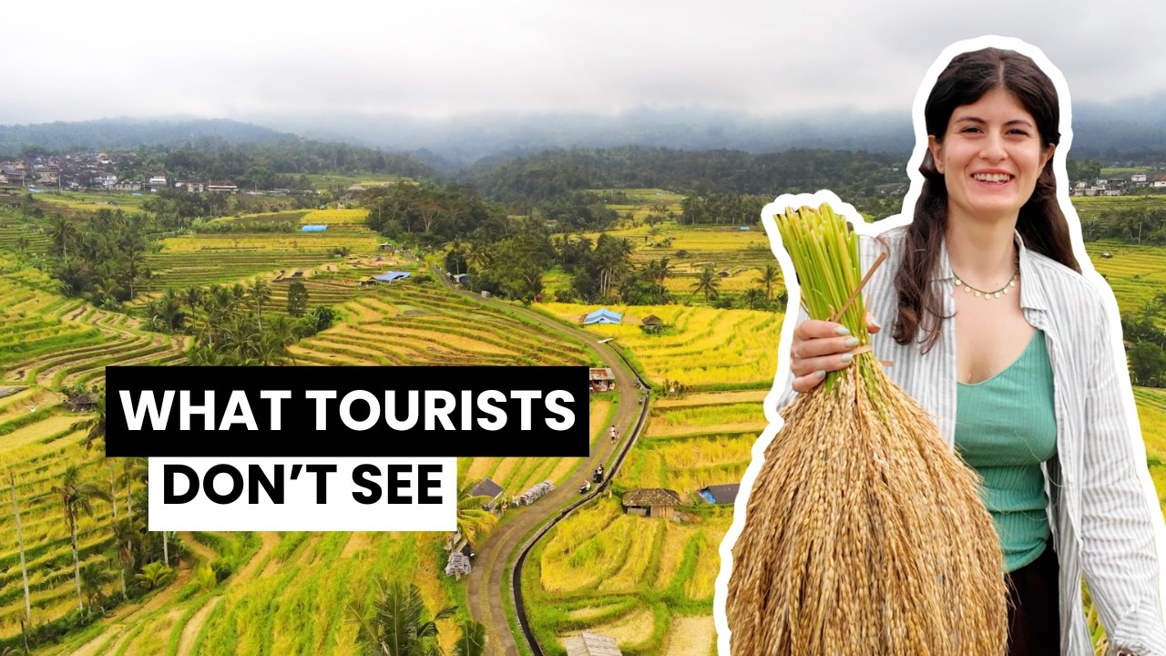 The traditional way rice is grown in Bali