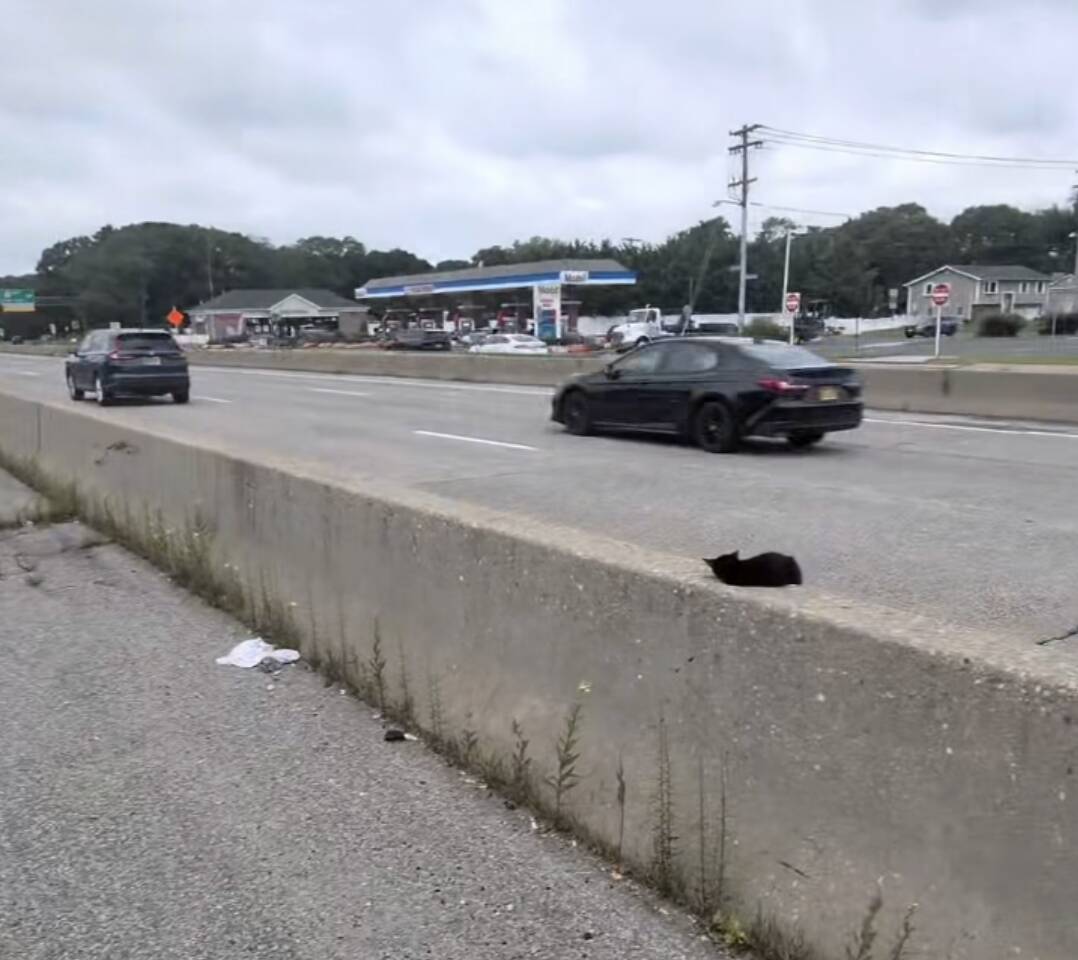 Man stops traffic to grab 8-week-old baby asleep in middle of highway