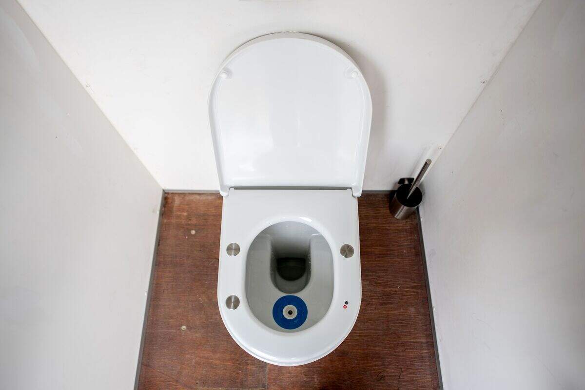 https://img-s-msn-com.akamaized.net/tenant/amp/entityid/AA2b4IIJ.img?w=768&h=512&m=4&q=65