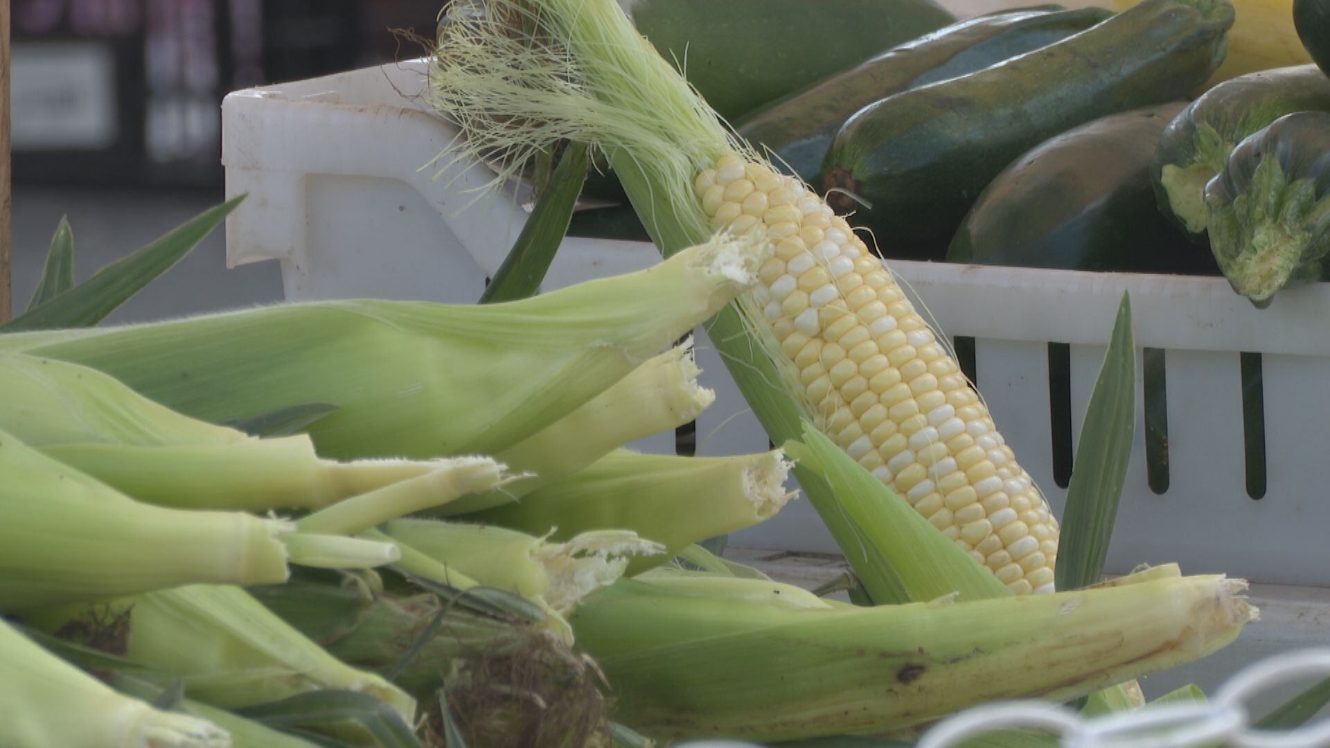 Summer market crops at their peak, fall crops on the way