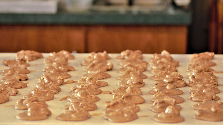 13-types-of-pecans-explained
