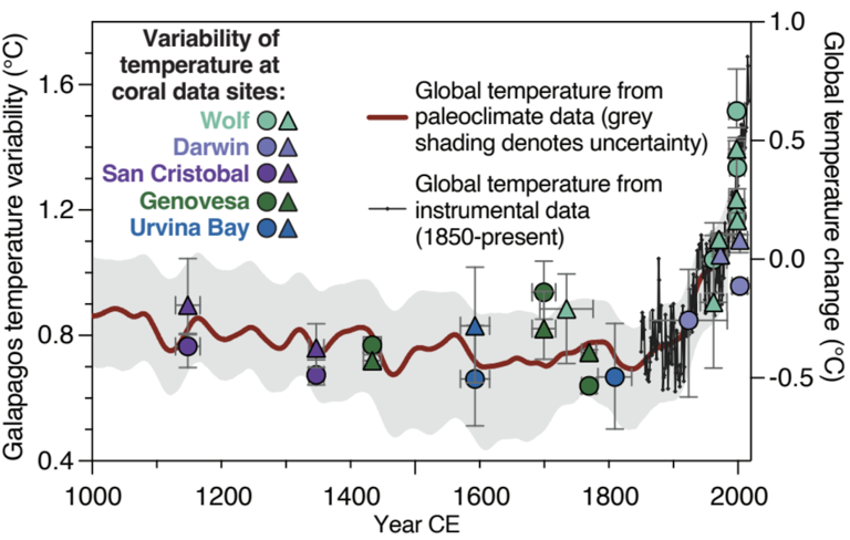 Galápagos corals show El Niño events are more extreme now than in past ...