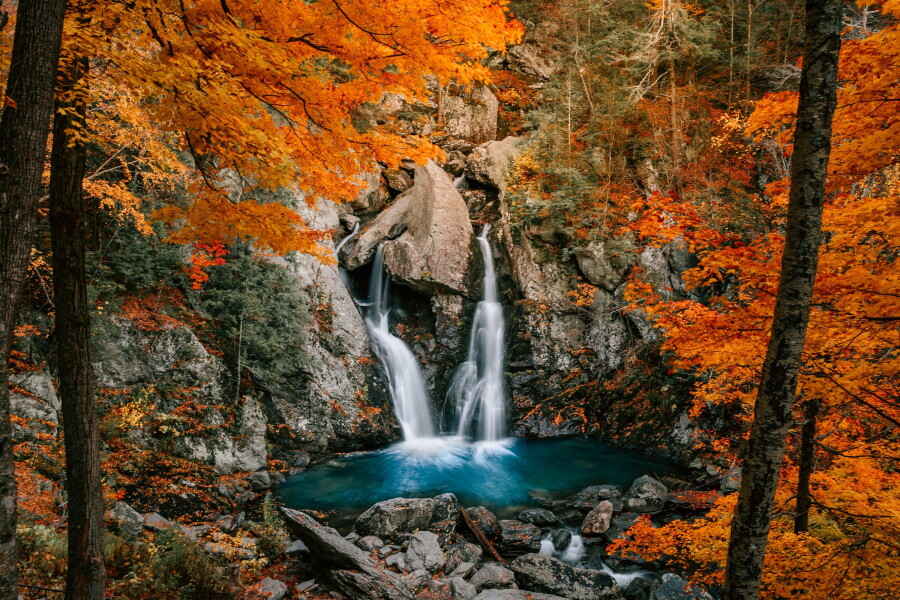 When 2026 fall foliage will see peak colors in the US