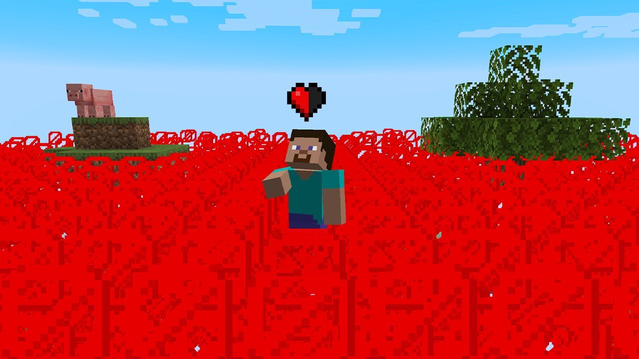 Minecraft but barriers rise every 10 seconds