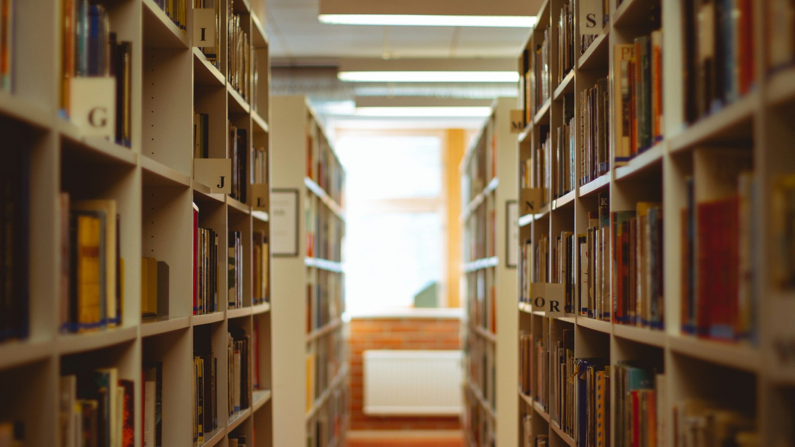 books-you-pretended-to-read-in-high-school-that-every-adult-needs-to