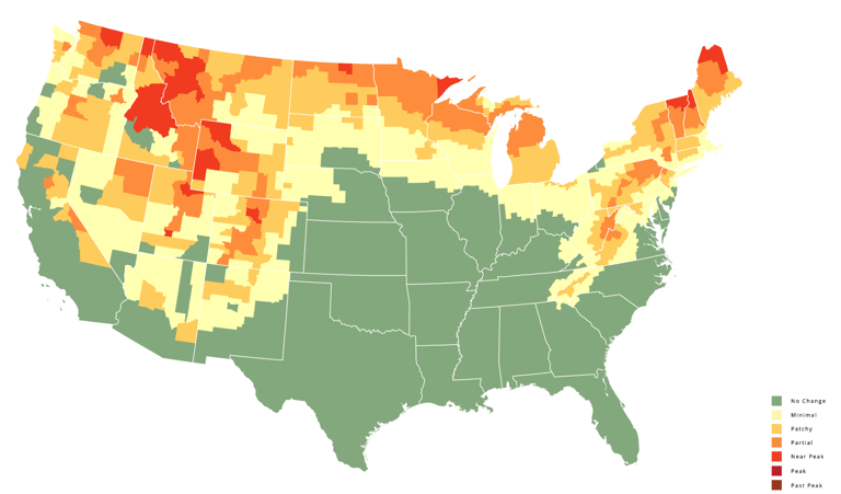 Week-by-week maps show when 2026 fall foliage will peak in Vermont