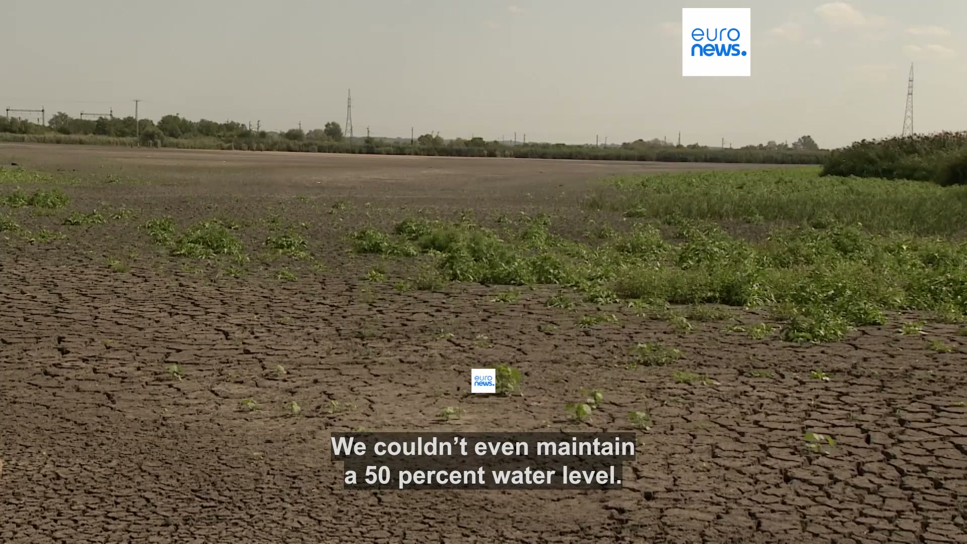 fight-for-water-dried-up-lakes-and-mass-fish-deaths-at-one-of-hungary