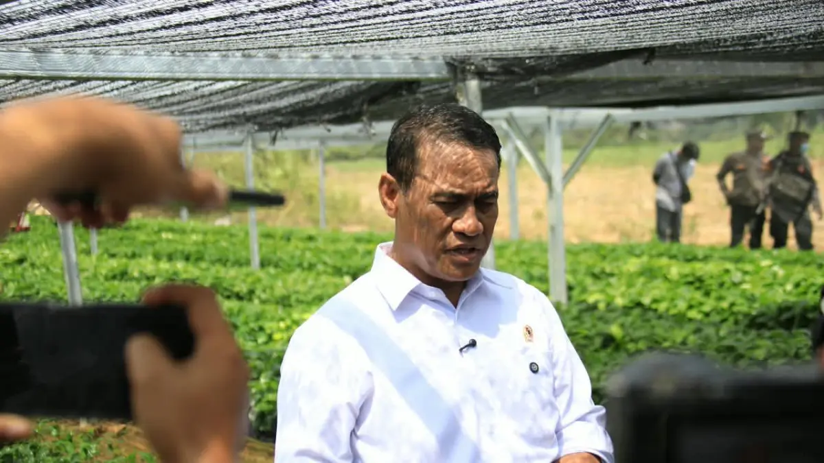 Mentan Amran klaim dapat restu Prabowo bongkar mafia beras
