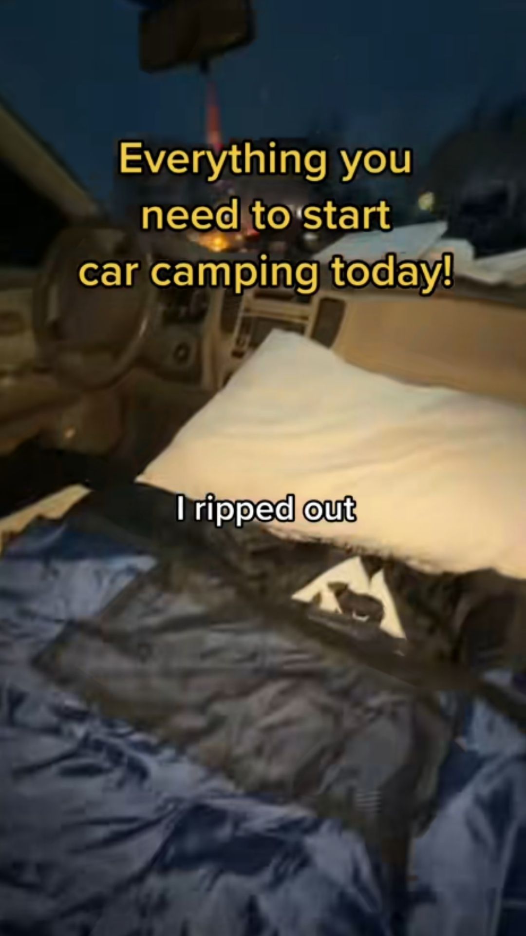 Car camping essentials and gear setup guide