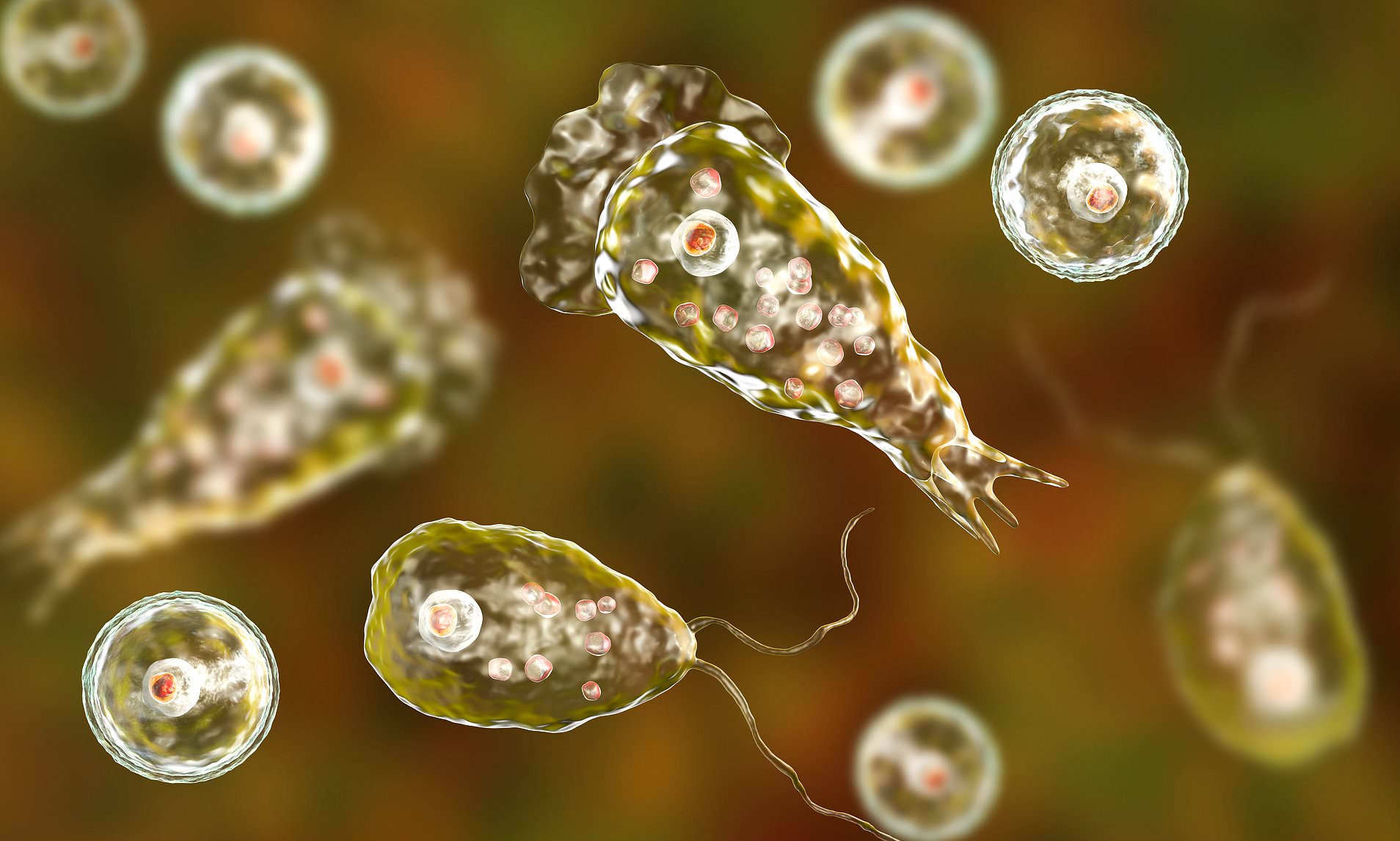 Teen battling rare brain-eating amoeba contracted after swimming in freshwater