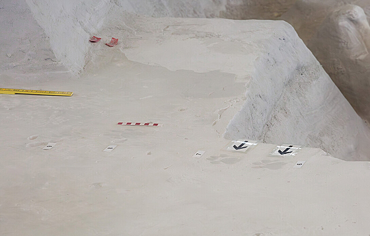 Tracks and tooth marks reveal bone-crushing dogs at Nebraska ...