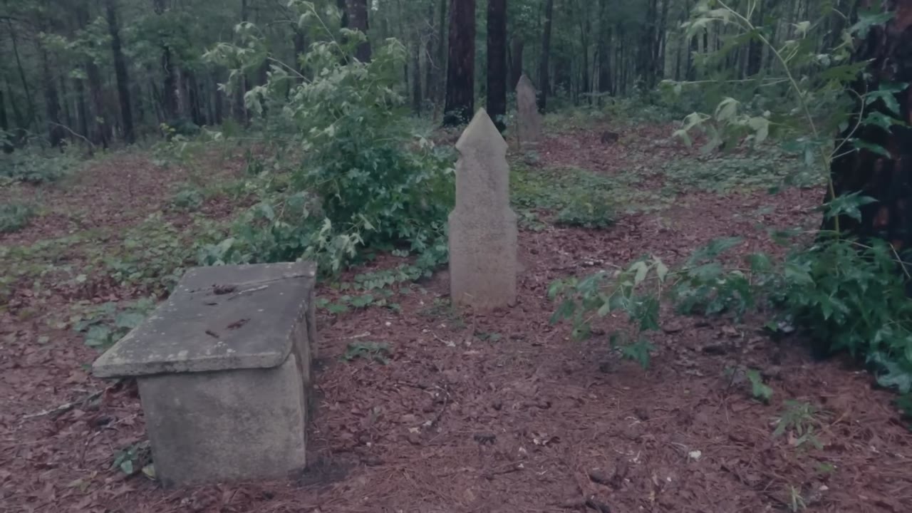 An old map led them into empty woods - then they found the graves of ...