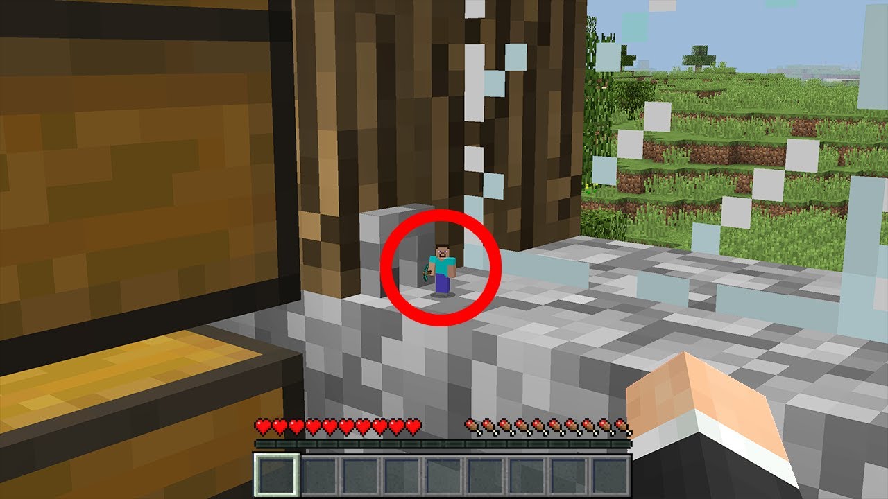 I caught a tiny player secretly living in my house