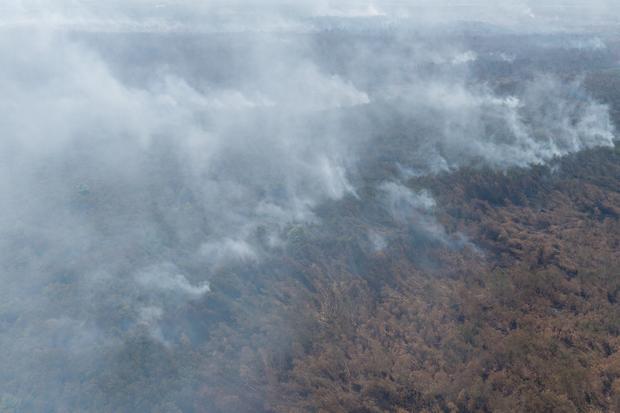 Emisi karbon kebakaran hutan RI melonjak 28 kali, mirip 2015