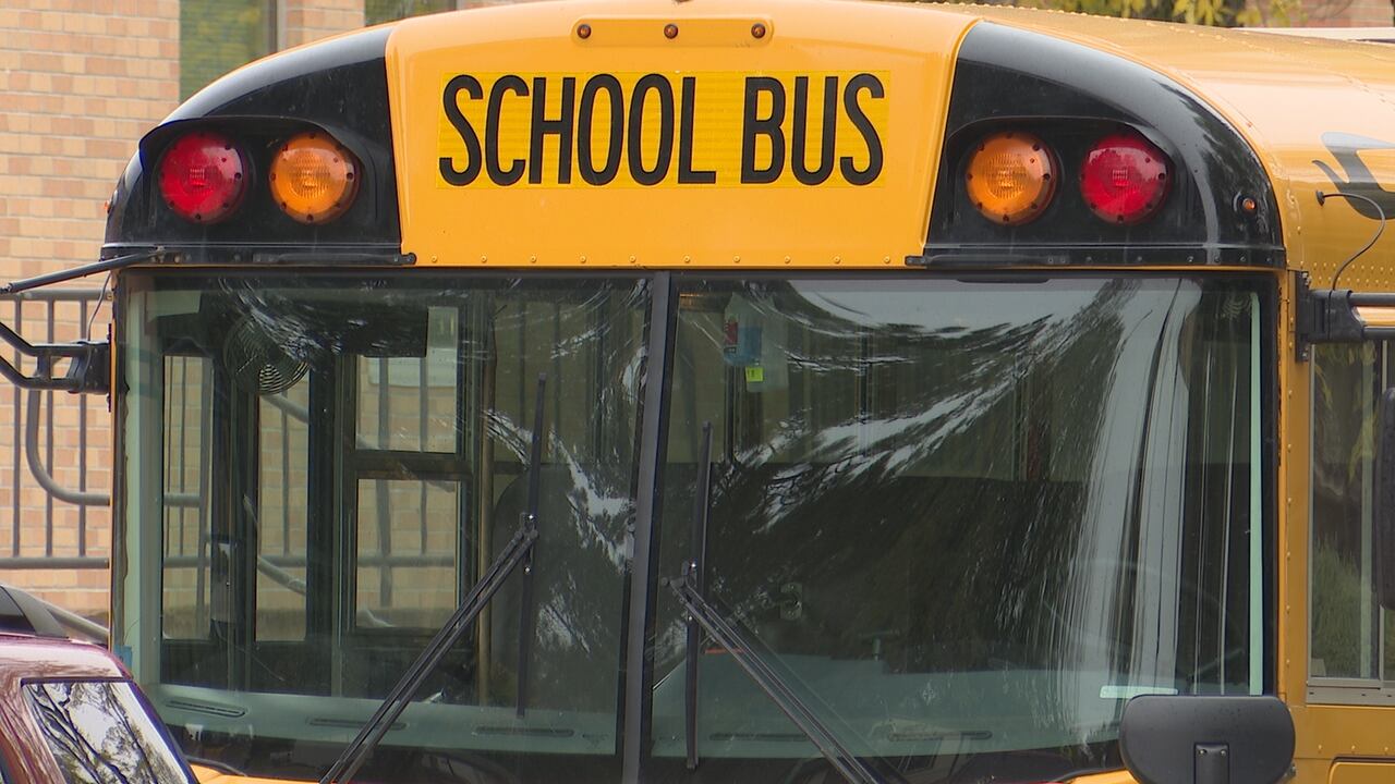 do-you-know-when-to-stop-for-a-school-bus-sd-officials-issue-crucial