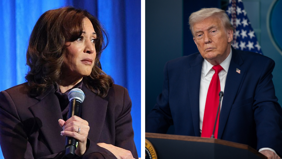 'He votes by mail': Harris slams Trump's plan to make mail-in voting harder