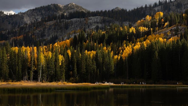 Fall is almost here. Is this when Utah’s spectacular colors will return?