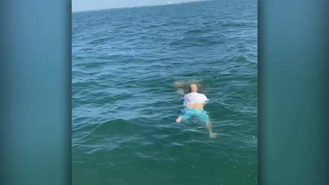 Father jumps into ocean to save loggerhead turtle caught in nets