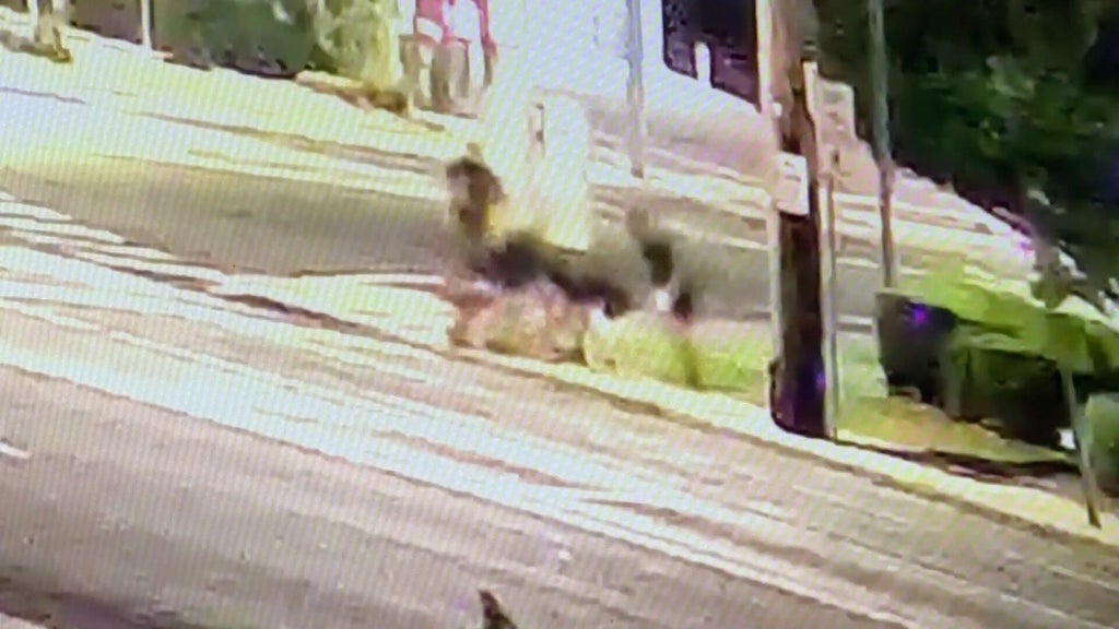 Video captures group entering manhole on Long Island