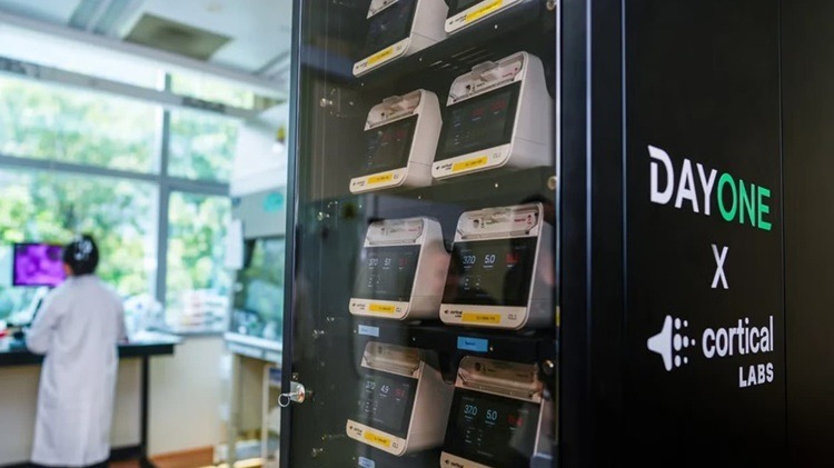 Data center at Southeast Asia's top university runs on living human ...