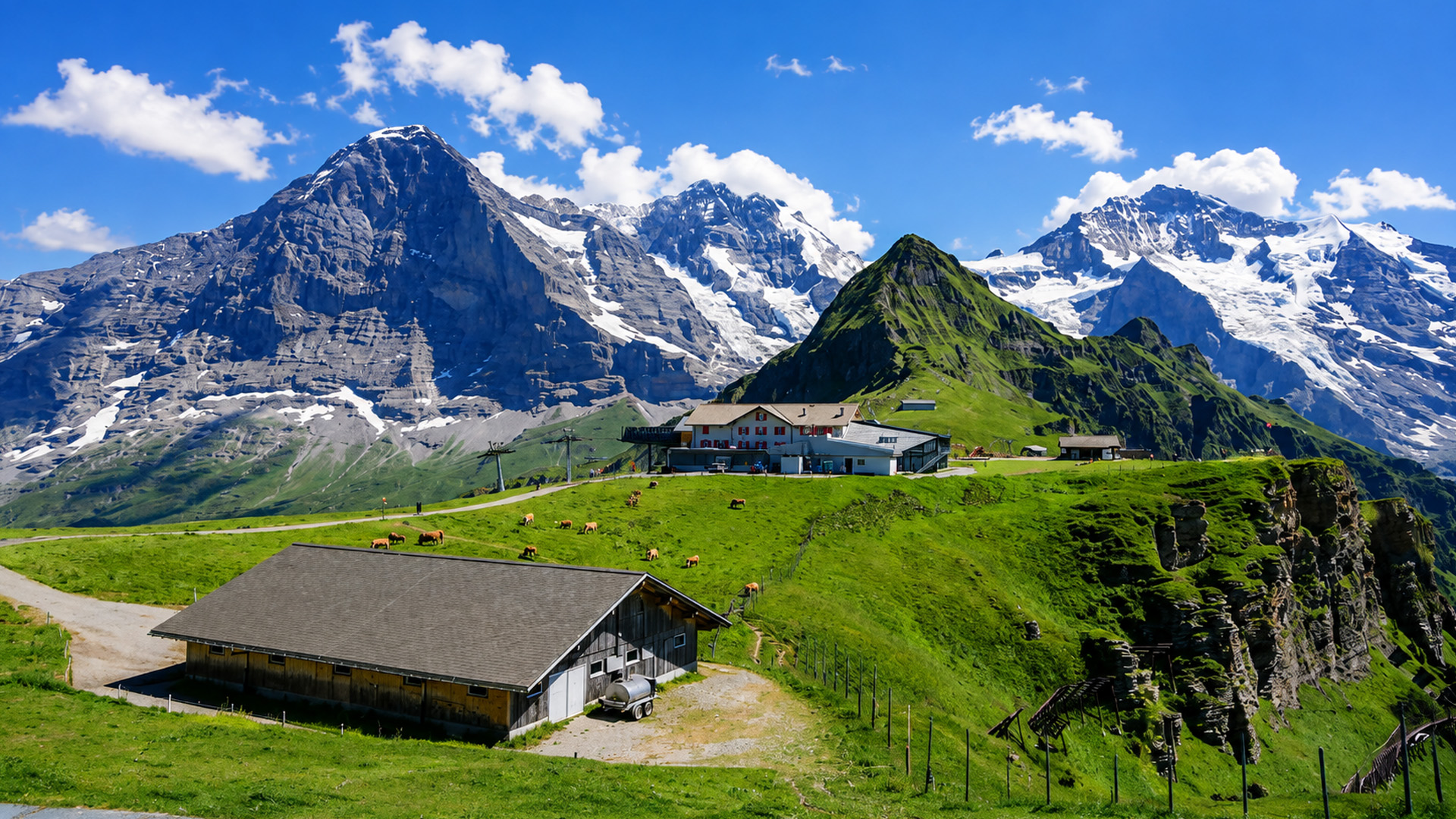 Männlichen Switzerland with cows and alpine views (4K)