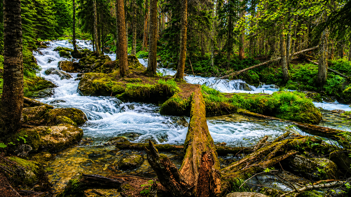 crystal-waters-rush-through-a-lush-mountain-forest